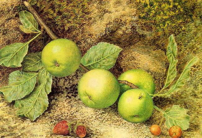 Hill, John William Still Life with Fruit and Fly